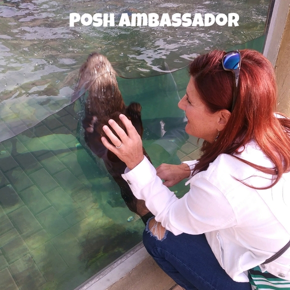 ABOUT MY CLOSET - Picture 13 of 16